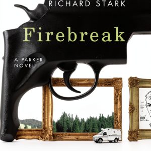 Parker Novels Book 20: Heist Crime Thriller by The University of-0