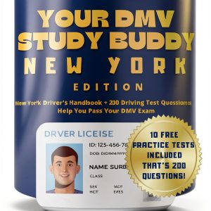 DMV Study Buddies: Your Ultimate Guide to Passing the Test-0